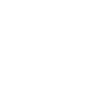 skype icon